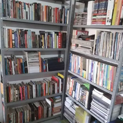 Arte da seção de Leituras, representada por uma foto com duas estantes de livros.